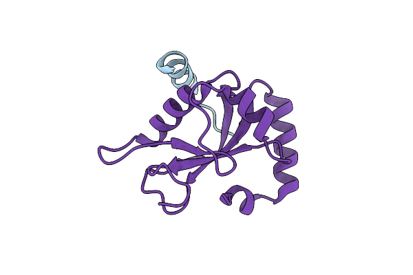 6A9X image