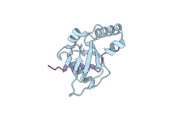 6AAF image