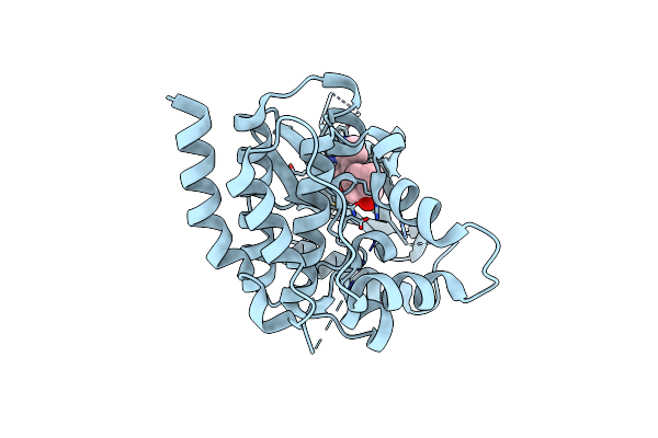 6AAM image
