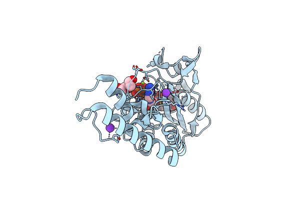 6AAO image