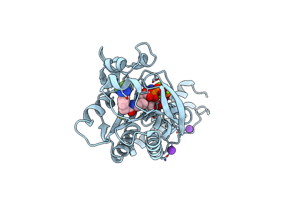 6ABM image