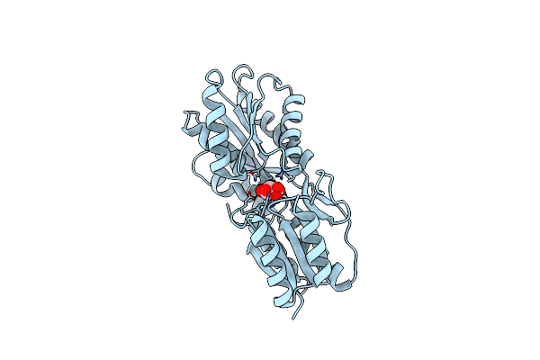 6ABP image