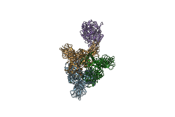6ACK image
