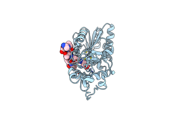 6ACO image