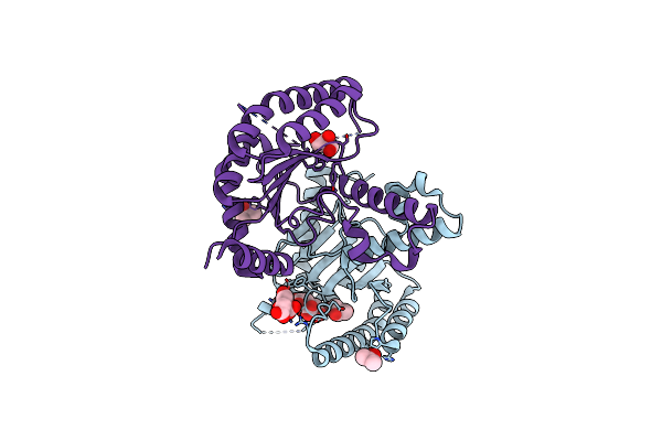 6ACS image
