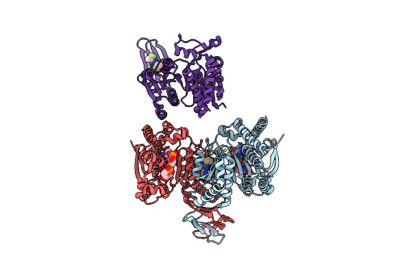 6ADG image