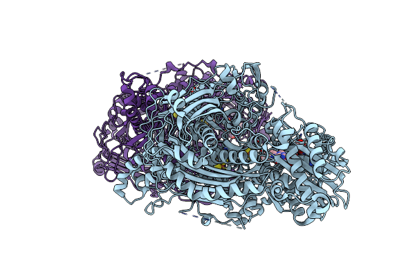 6ADJ image