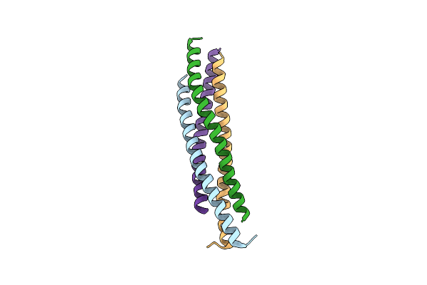 6ADO image