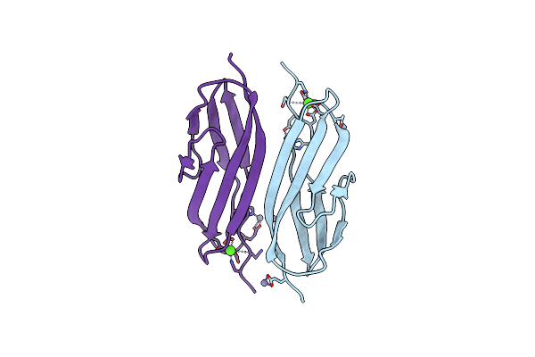 6AEM image
