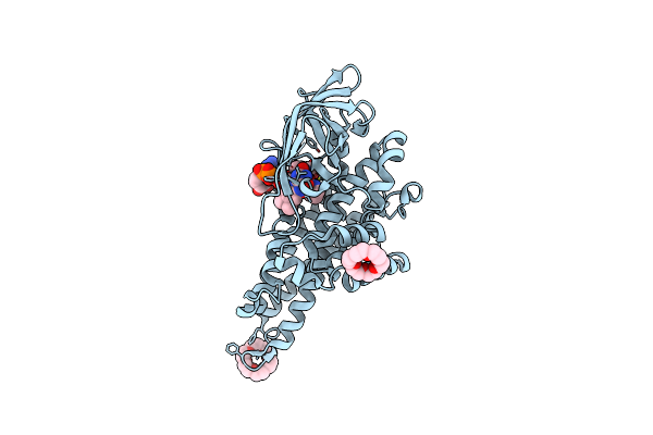 6AF6 image