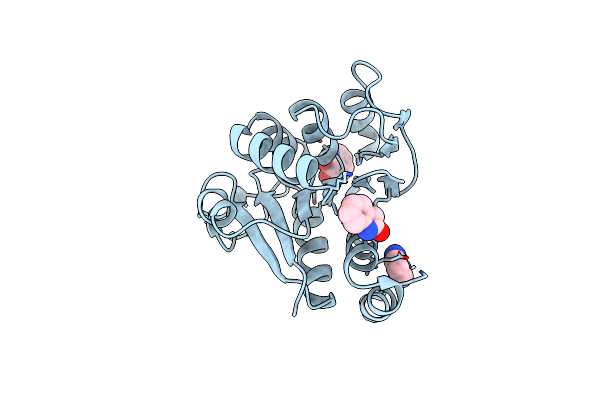 6AF9 image
