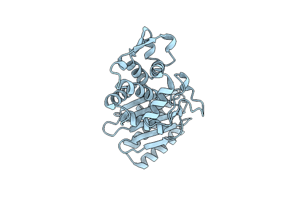 6AFM image