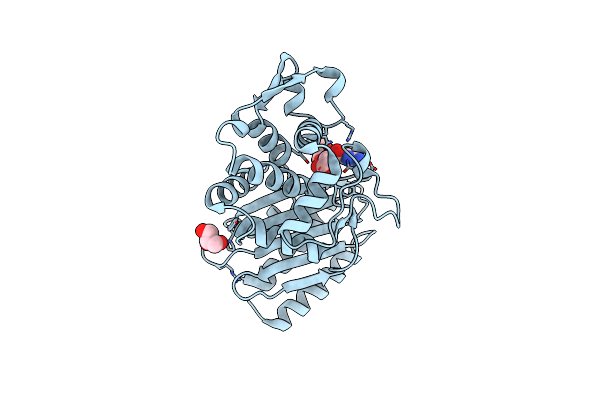 6AFN image