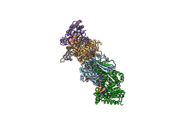 6AJA image