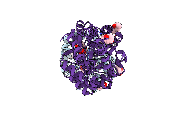 6AML image