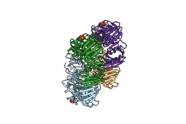 6AMS image