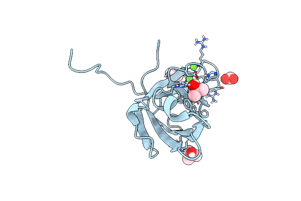 6ANJ image
