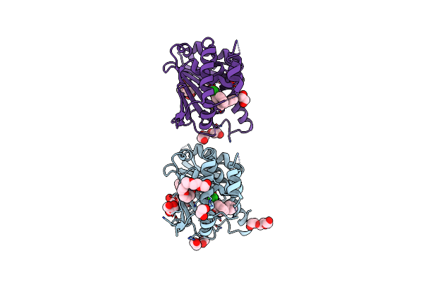 6AOM image
