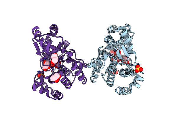 6APF image