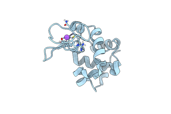 6APM image