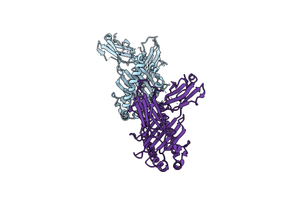 6APN image