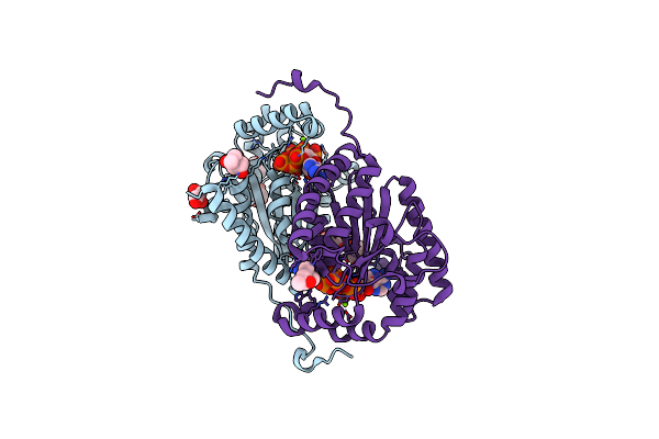 6AQE image