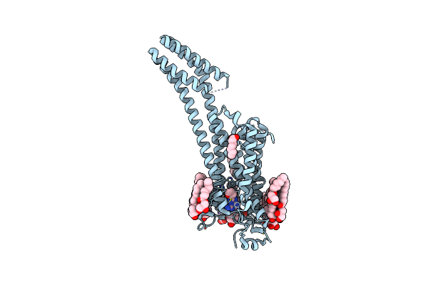 6AQF image