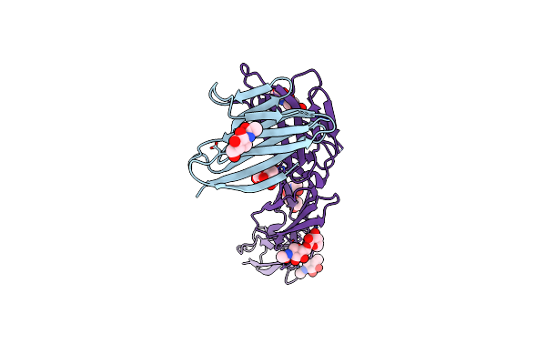 6ARQ image