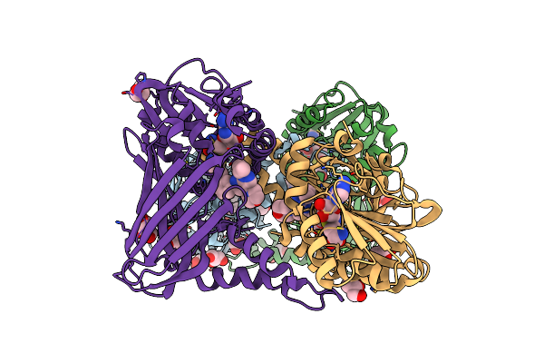 6ARV image