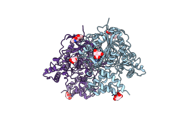 6ARX image