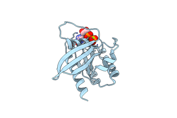 6ASE image