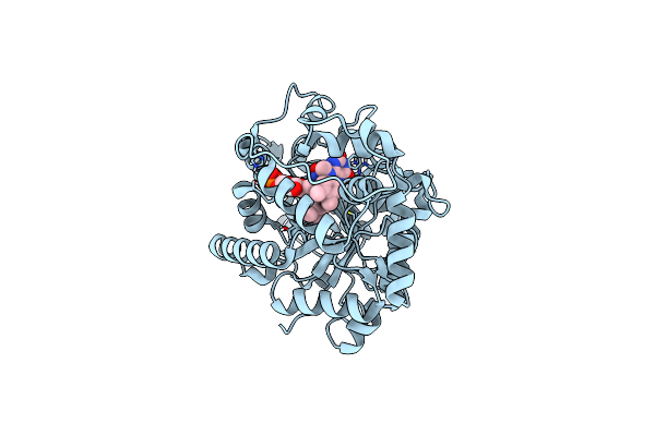 6ASL image
