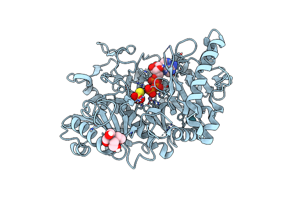 6ASM image