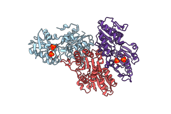 6ASV image