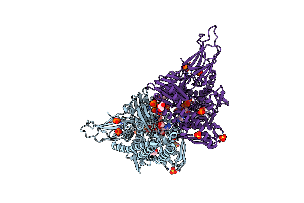 6ASY image