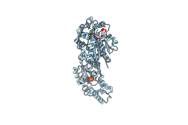 6AUM image