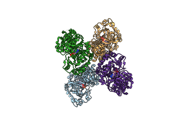 6AVH image
