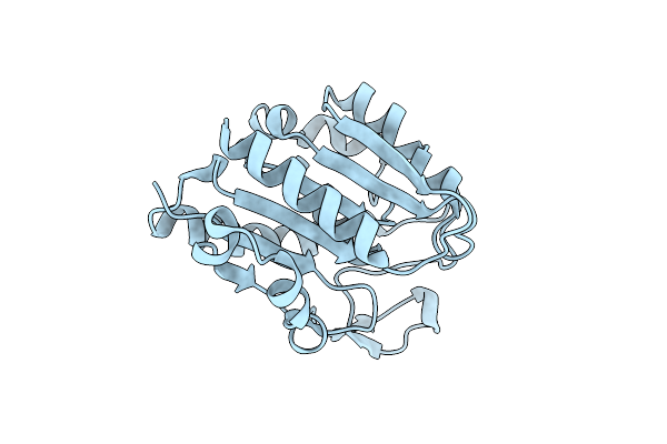 6AVV image