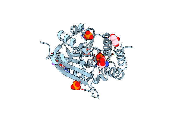 6AW4 image
