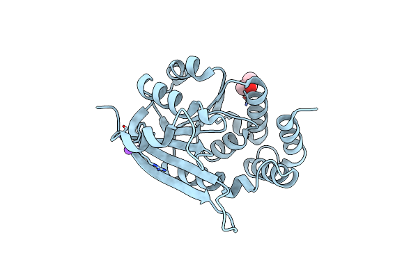 6AW5 image