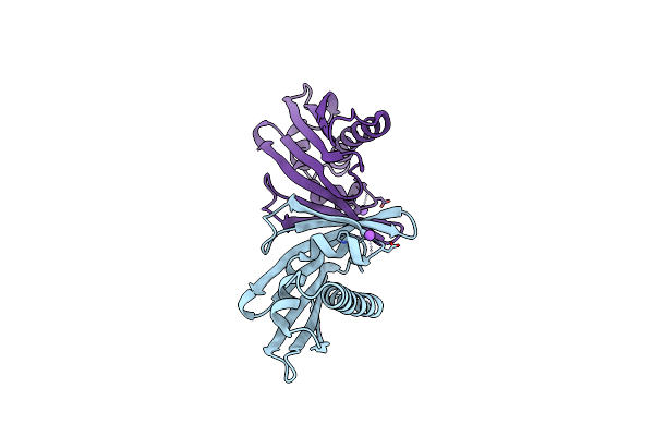 6AWX image