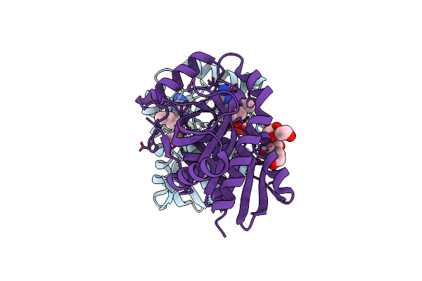 6AYO image