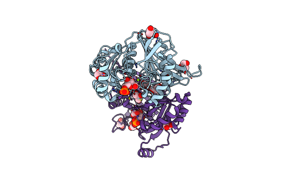 6AYV image