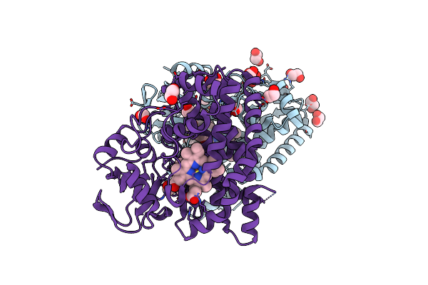 6B11 image