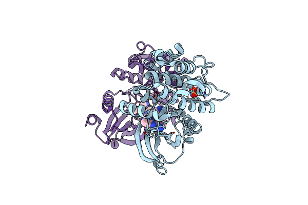 6B16 image
