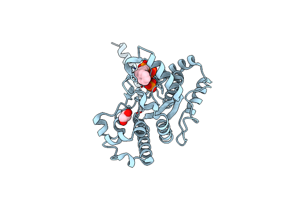 6B18 image
