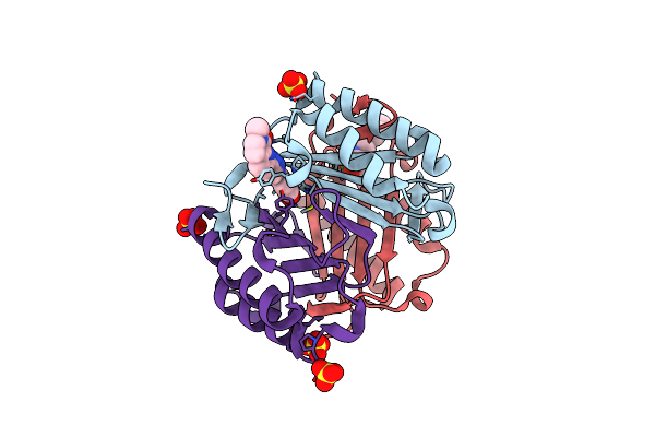 6B1C image