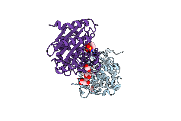 6B1F image