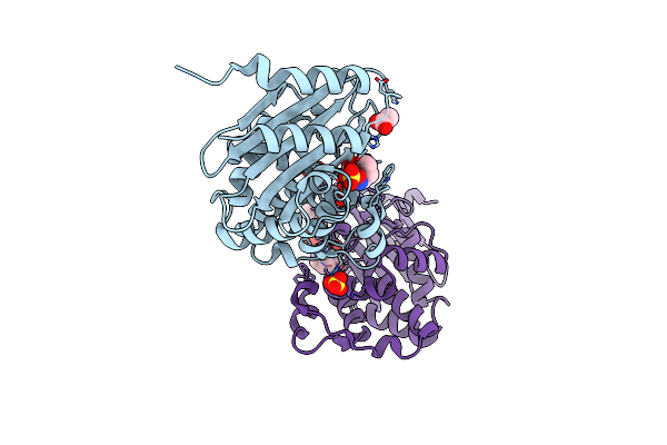 6B1H image