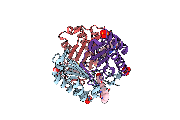 6B1K image